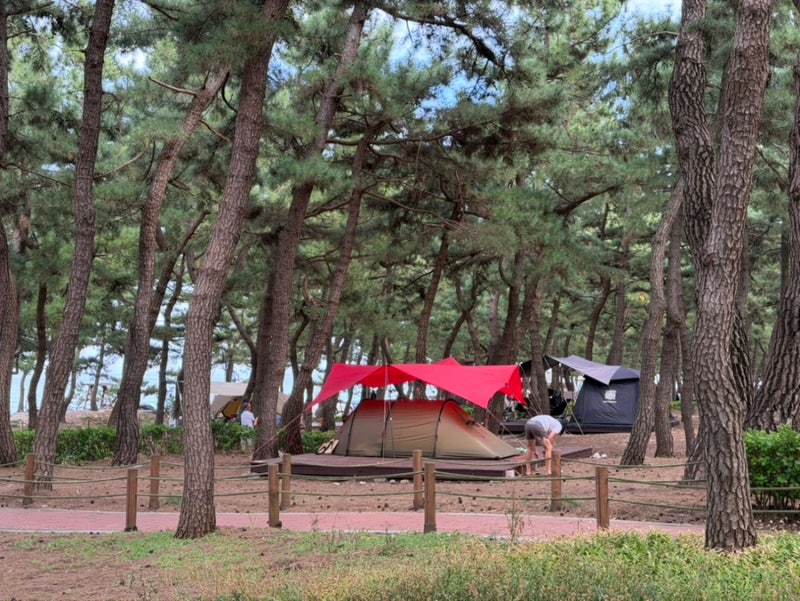 Gangneung Yeongok Beach Solhyanggi Campground A112