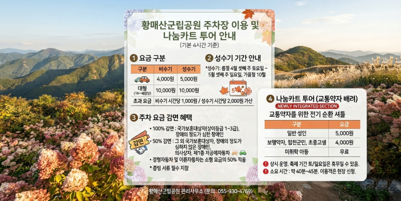 Hapcheon Hwangmaesan Hydrangea macrophylla Festival in September (October): Why You Should See Both Reeds and Hydrangeas Together