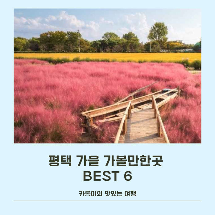 평택 가을 가볼만한곳 BEST 6