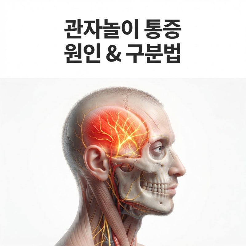 관자놀이 통증, 원인과 비슷한 증상을 구분하는 법