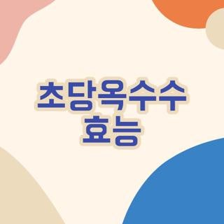 초당옥수수 효능 칼로리 당뇨 환자 섭취법 직접 확인해보고 정착한 후기