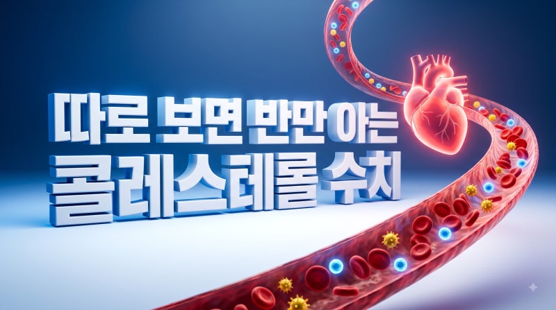 LDL·HDL·중성지방 수치, 따로 보면 안 되는 이유