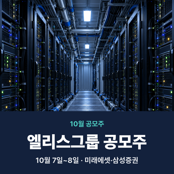 엘리스그룹 공모주 청약할까? AI주 수요예측·상장 (엘리스그룹은 어떤 회사?)