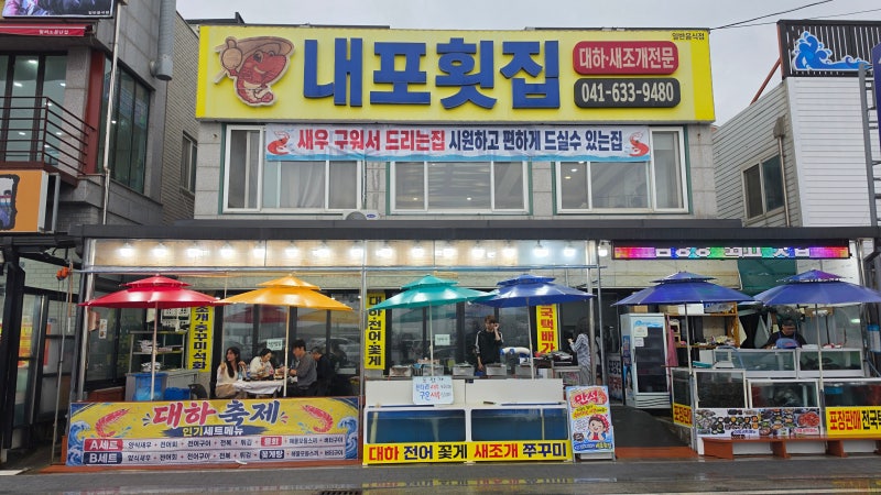 가을 가족 여행! 남당리 대하축제 맛집 '내포횟집' 방문 후기 (feat. 아쉬운 남당항또오리회수....
