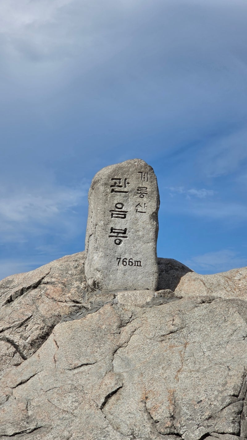 [등산] 등산 초보 계룡산 관음봉 후기 (feat. 주차, 동학사 맛집 추천)