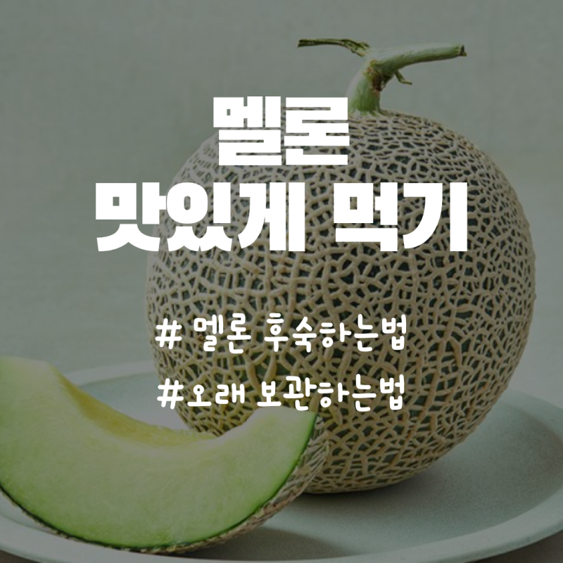 초보주부탈출 멜론 후숙,보관 하는법