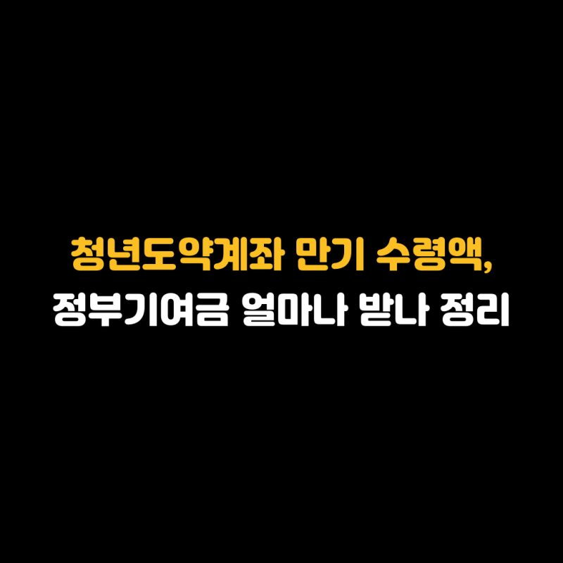 청년도약계좌 만기 수령액, 정부기여금 얼마나 받나 정리