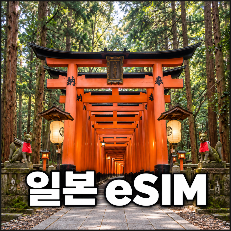 오사카 여행, 일본 esim은 어떻게 썼을까요?