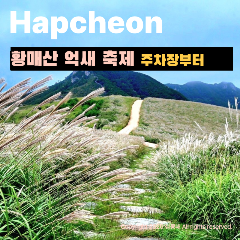 합천황매산 억새축제 주차장 요금 꿀팁! 경남 가볼만한곳 추천 (황매산정상1주차장) : 2026.09.2....