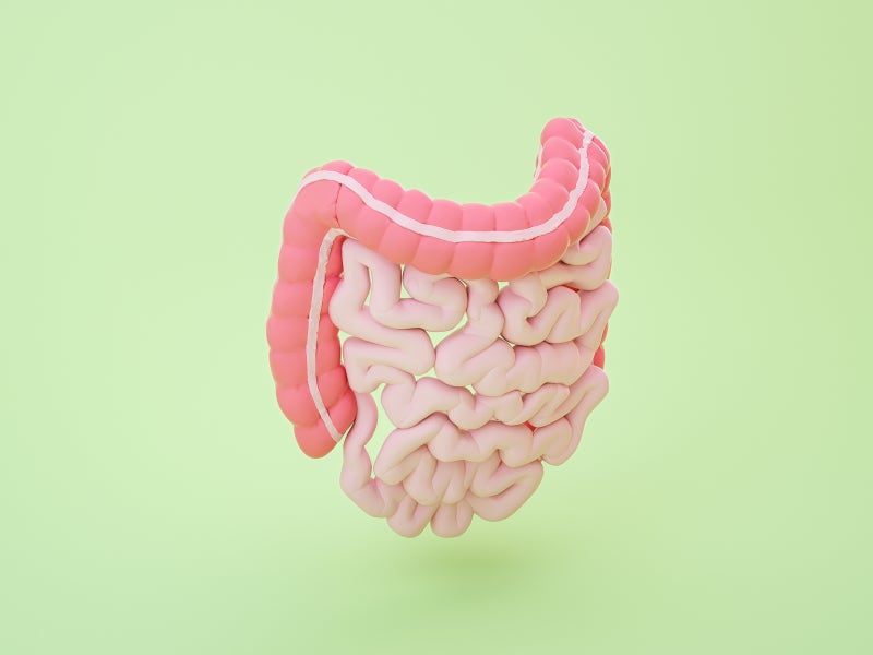 대장암 초기증상과 말기 증상, 대장내시경 검사가 필요한 경우