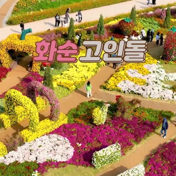 김다현 나상도 존박 알리 뜬다! 2026 화순 고인돌 가을꽃축제 일정 입장료 가수 라인업 총정리....