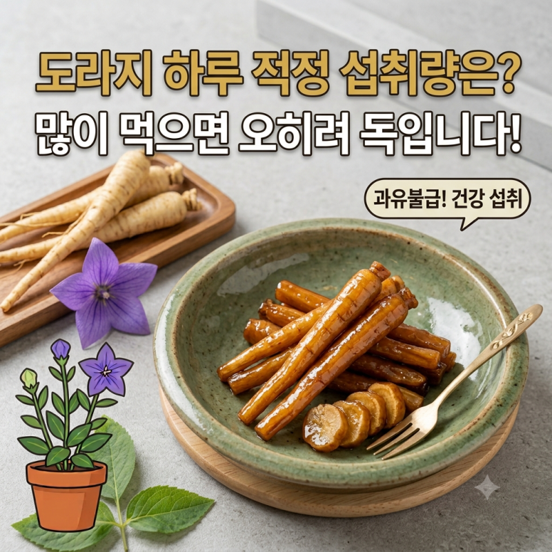 도라지 하루 적정 섭취량은? 많이 먹으면 오히려 독입니다