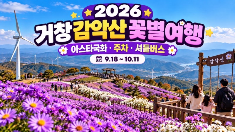 「2026 거창 감악산 꽃별여행 총정리｜아스타국화 개화상황·주차·셔틀버스」