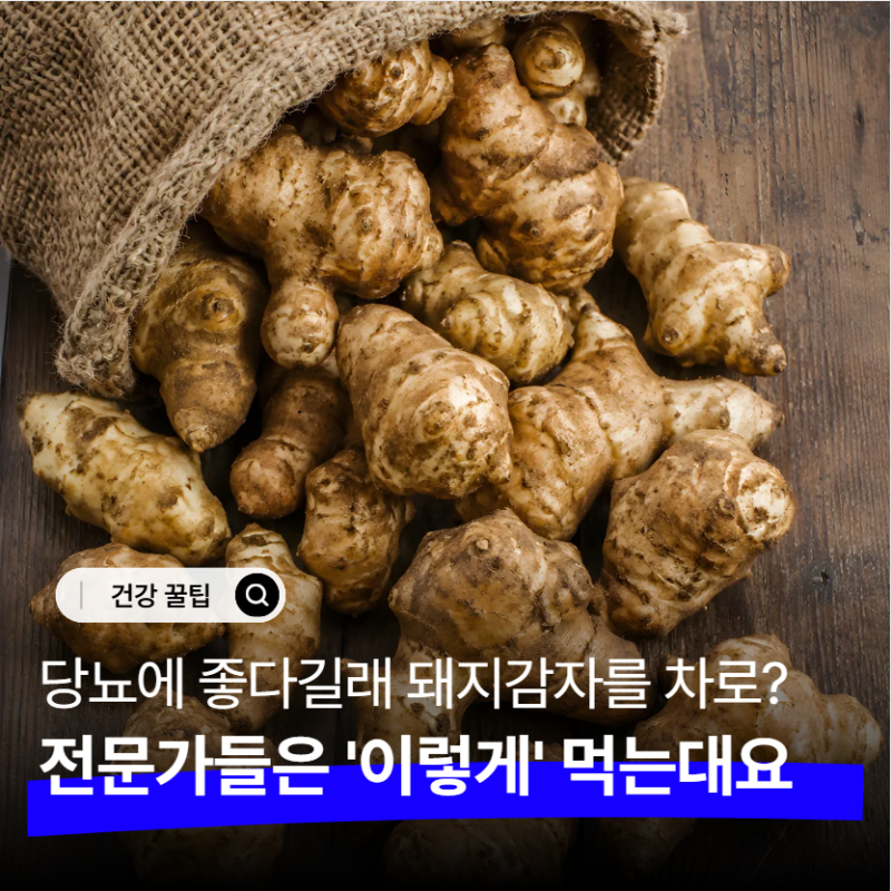 말린 돼지감자차 효능 믿고 매일 한 잔씩.. 그런데 전문가가 권한 방식은 의외였습니다
