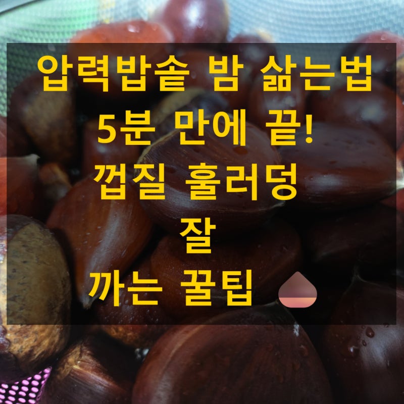 압력밥솥 밤 삶는법 | 벌레 밤 골라내기부터 쉽게 밤 껍질 까는법 꿀팁까지!