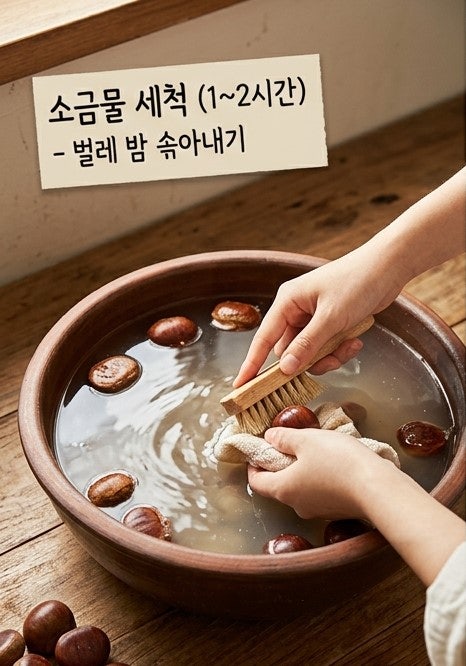 추석 때 받은 생밤, 그냥 두면 벌레 생겨요! 썩지 않고 더 달콤해지는 생밤 보관법 (냉동/냉장....