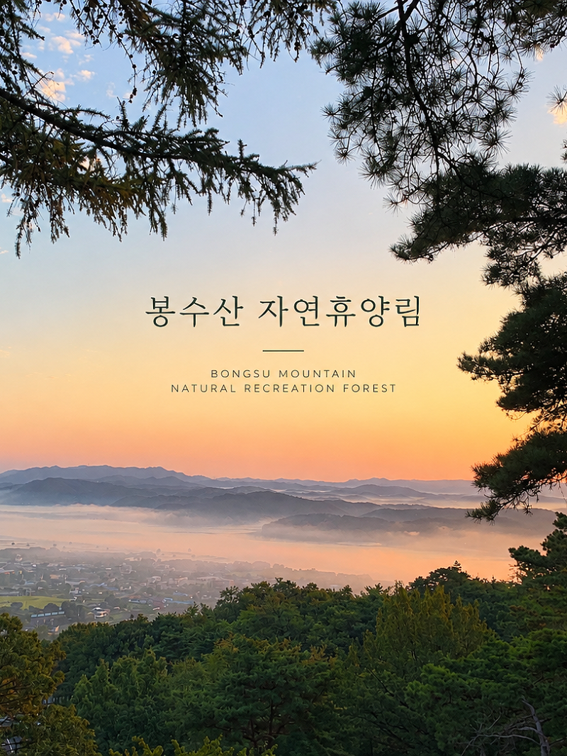 봉수산 자연휴양림, 숲속의 집 가야산 룸 컨디션 예당호뷰 추천