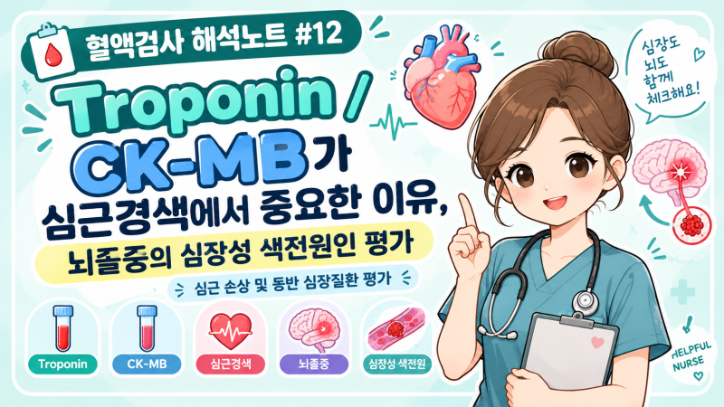 [혈액검사 해석노트 #12] Troponin·CK-MB 정상수치｜심근경색에서 중요한 이유와 뇌졸중의 심장....