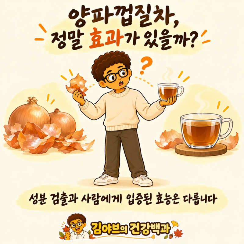 양파껍질차 효능과 만드는 법, 혈압,물 대체까지 근거로 확인