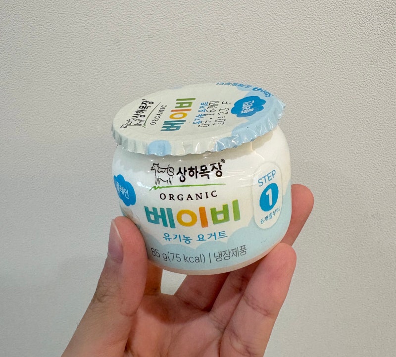 8개월 아기 간식 추천｜요거트, 고구마말랭이, 사과, 바나나