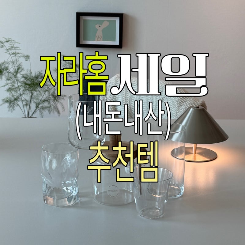 느좋 자라홈 세일 추천템