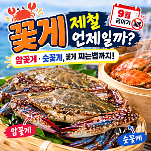꽃게 제철 언제일까? 9월 꽃게 금어기부터 암꽃게·숫꽃게, 꽃게 찌는법까지