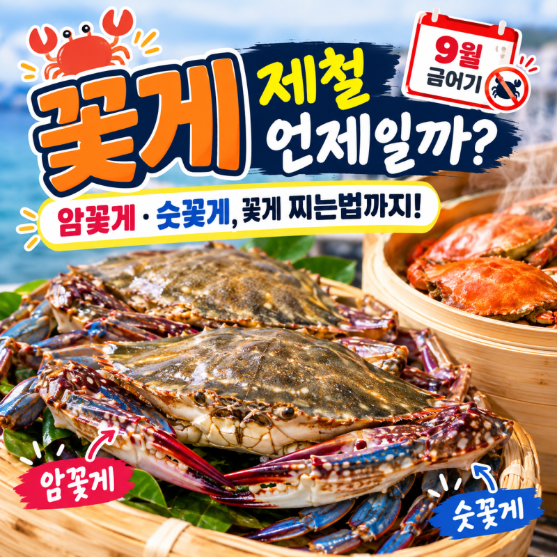 꽃게 제철 언제일까? 9월 꽃게 금어기부터 암꽃게·숫꽃게, 꽃게 찌는법까지
