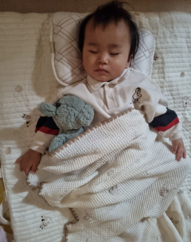 [육아템] 아기 애착인형 언제부터? 젤리캣 바쉬풀 드래곤 M·라일락 버니 S 사용 후기