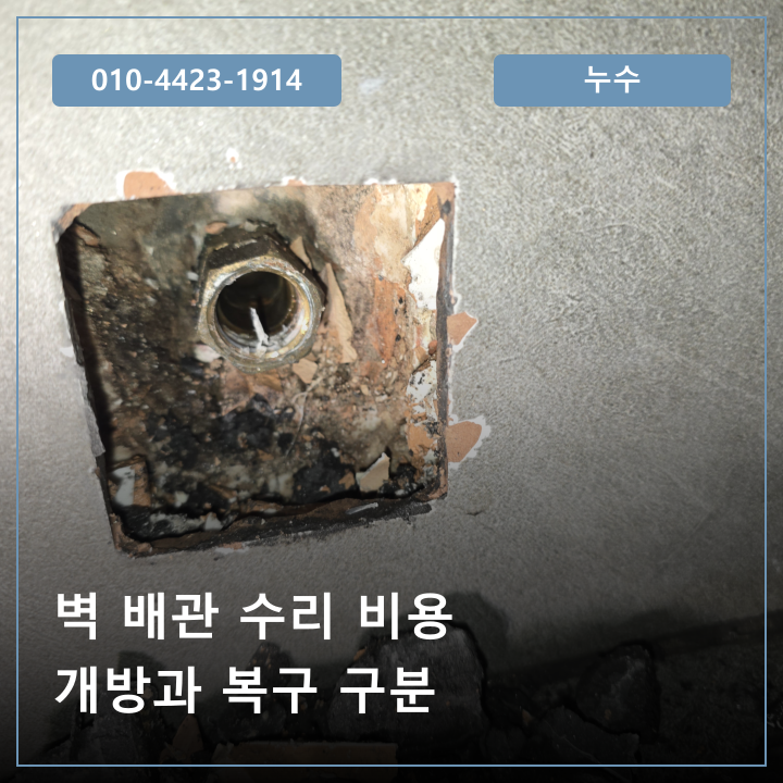 마산 현동 벽 배관 누수 수리 비용, 작은 구멍과 실제 교체 범위의 차이