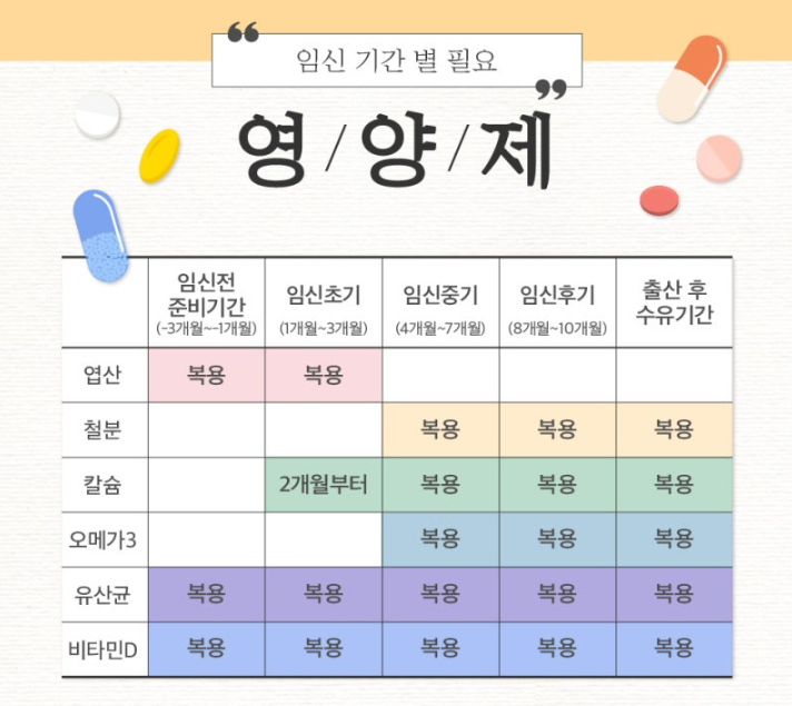 임산부 영양제 종류랑 복용 시기 총정리 (임신준비 엽산·철분·비타민D)