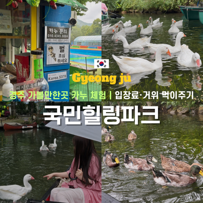 경주 가볼만한곳 국민힐링파크 카누 체험 후기｜입장료 예약·거위 먹이주기 솔직후기