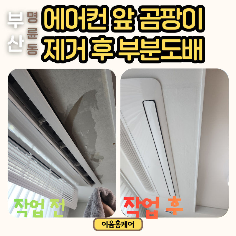 시스템에어컨 주변 벽지 곰팡이, 부산 명륜동 제거 후 부분도배 후기