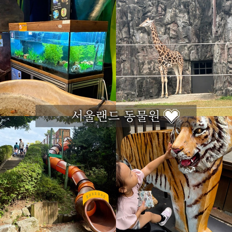 과천 서울대공원 동물원 서울근교 아이와 가볼만한곳