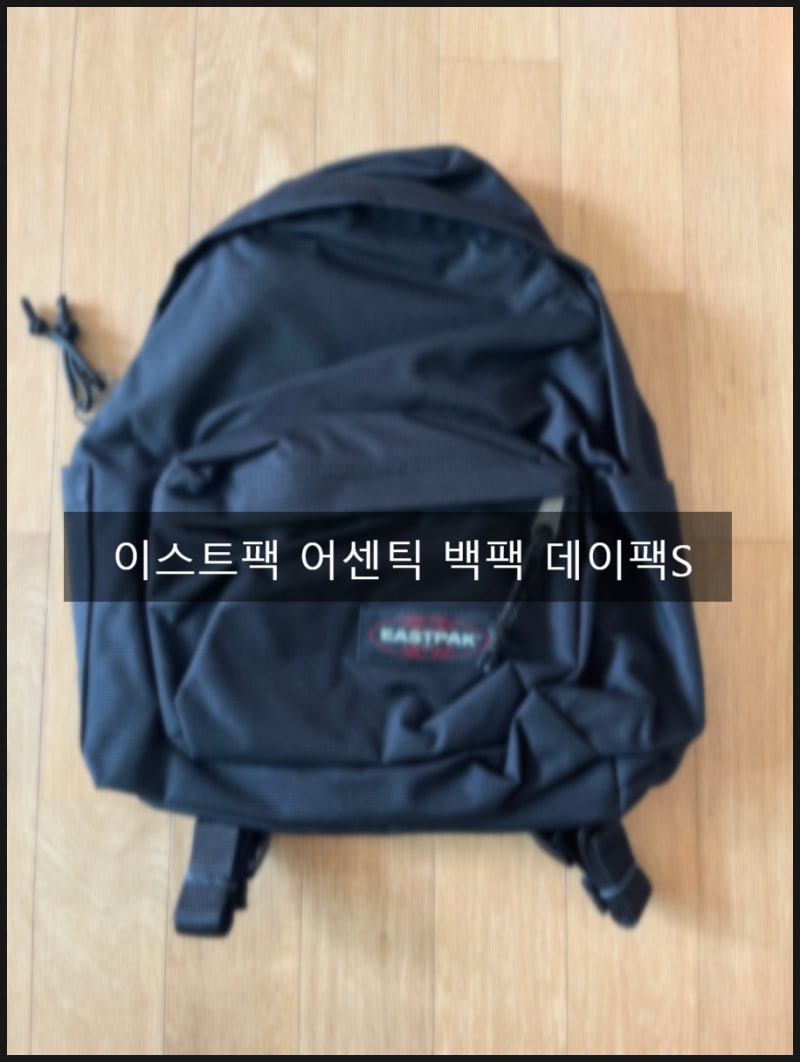 초등학생 가방 추천 - 이스트팩 어센틱 백팩 데이팩S