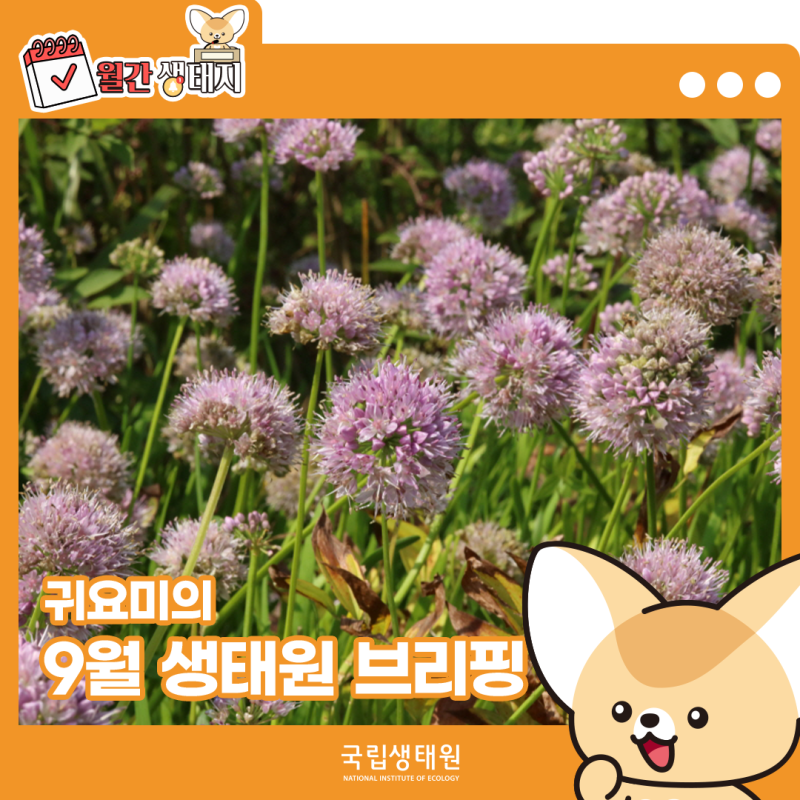 월간생태지 : 귀요미의 9월 생태원 브리핑
