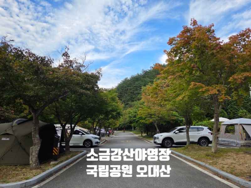 오대산 국립공원 소금강산야영장 A66 캠핑장