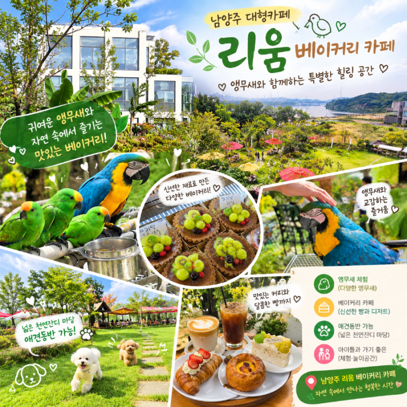남양주 대형카페 리움베이커리카페 앵무새 천연잔디 애견동반 나들이 명소