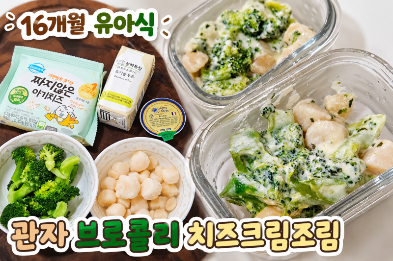 [16개월 유아식] 관자 브로콜리 크림조림｜우유·아기치즈로 만드는 부드러운 아기반찬