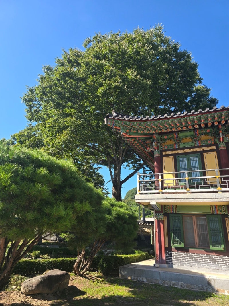 [정책예금 시리즈2]세금우대예탁금