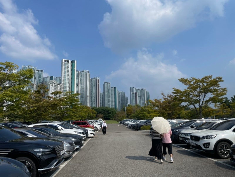 Incheon Dream Park Wildflower Complex: A Pet-Friendly Autumn Outing Perfect for Families | 2026 Dream Park Chrysanthemum Festival....