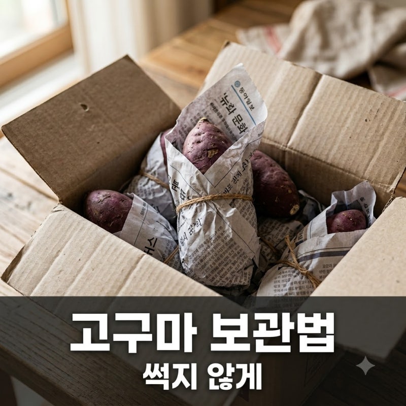 고구마 보관방법 박스째 베란다에 두면 썩는 진짜 이유