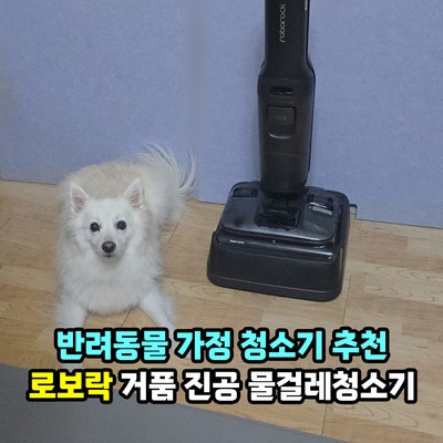 반려동물 청소기 추천, 로보락F25AcePro거품진공물걸레청소기 강아지 냄새제거 얼룩 사용 후기