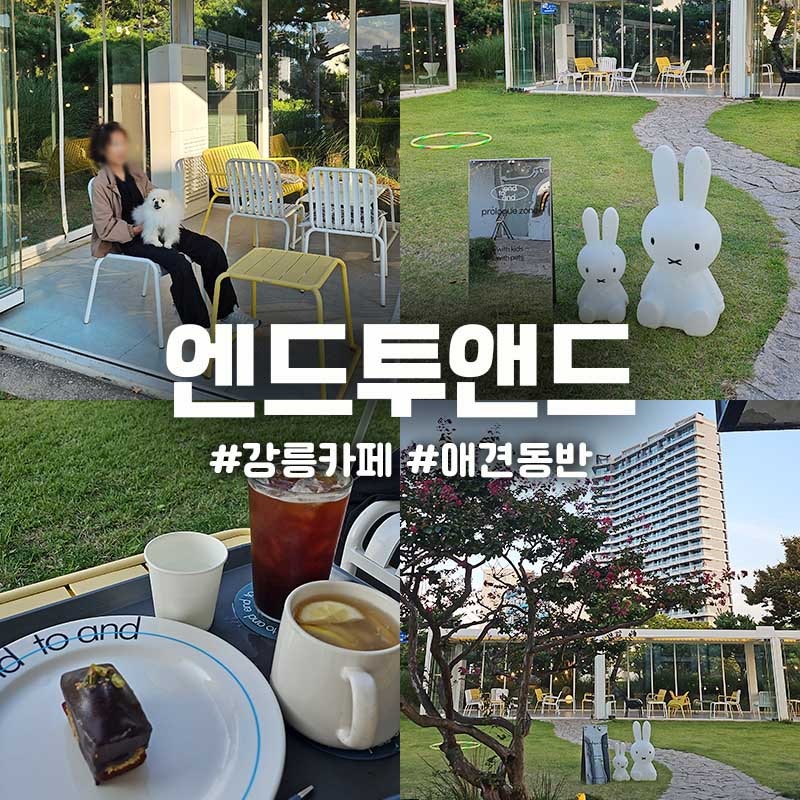 강릉 엔드투앤드 대형 애견동반카페 주차장 두쫀쿠휘낭시에 안목카페거리
