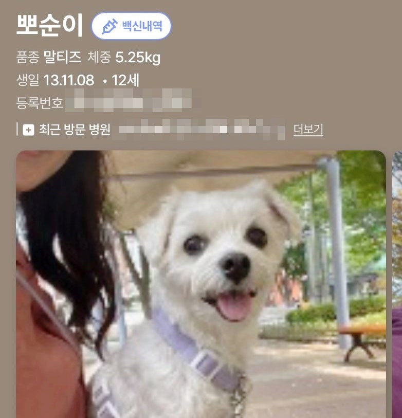 강아지 예방접종 확인서 모바일로 편리하게 어플 인투펫 13년째