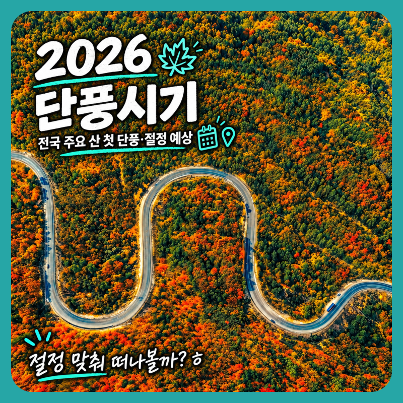 2026 단풍시기 전국 단풍 절정 예상일 설악산·내장산까지