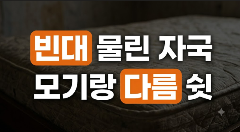 끔찍한 빈대 물림: 자국 모양 특징부터 효과적인 연고, 흉터 예방까지