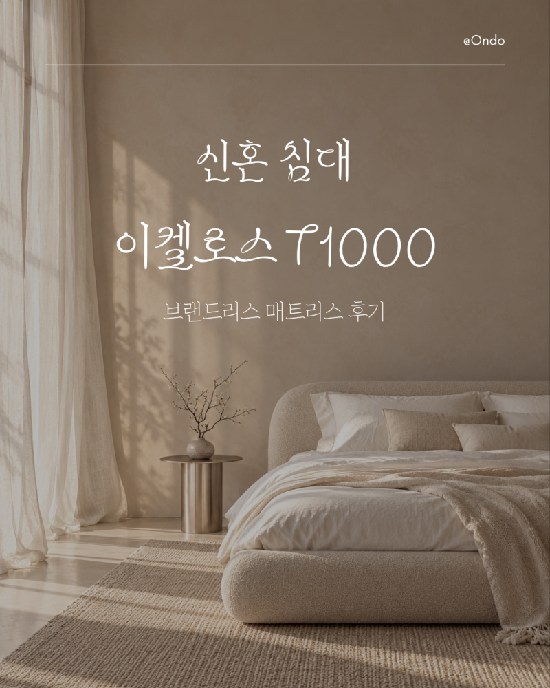 안산 브랜드리스 쇼룸에서 고른 이켈로스 T1000 라지킹, 한 달 사용 후기