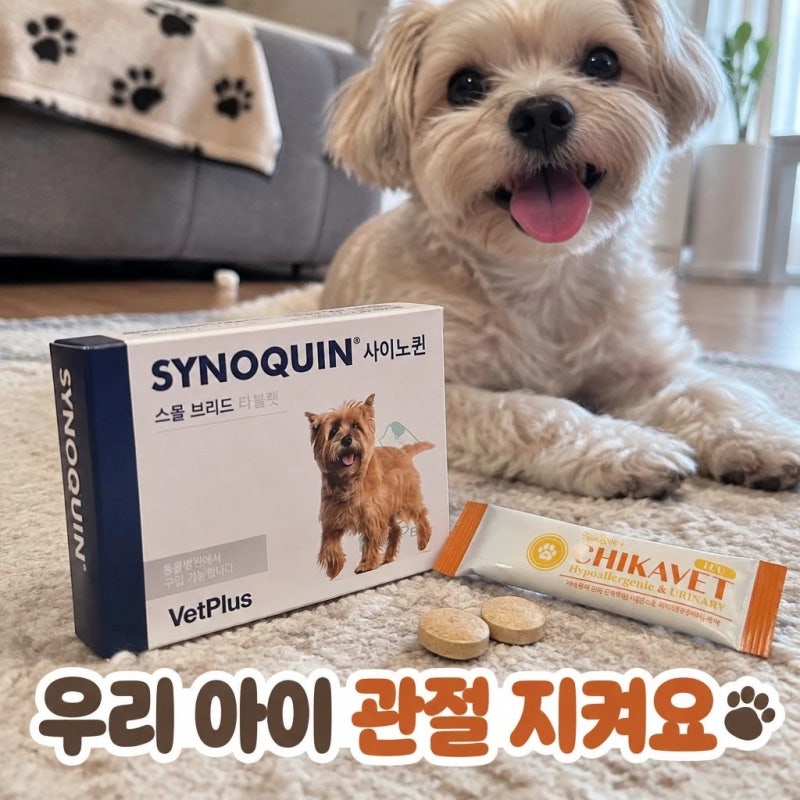 벳플러스 사이노퀸 소형견 30정 강아지 관절 영양제 타블렛 정보 총정리