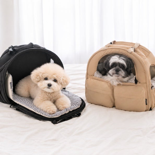 펫츠랜드 강아지 이동가방 애견 백팩 고양이 몽드백팩 특징 총정리