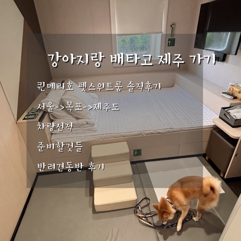 犬と一緒に済州島へフェリーで行く｜木浦港クイーンメリー号 ペットスイート 車両積載レビュー